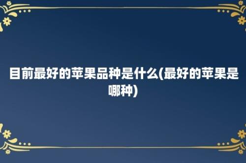 目前最好的苹果品种是什么(最好的苹果是哪种)