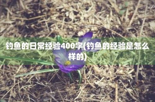 钓鱼的日常经验400字(钓鱼的经验是怎么样的)