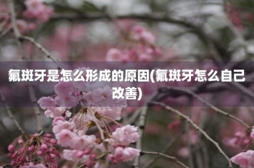 氟斑牙是怎么形成的原因(氟斑牙怎么自己改善)