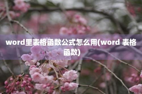 word里表格函数公式怎么用(word 表格 函数)