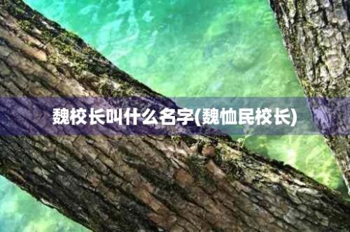 魏校长叫什么名字(魏恤民校长)