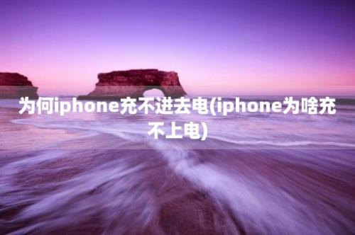 为何iphone充不进去电(iphone为啥充不上电)