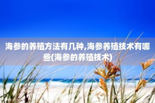 海参的养殖方法有几种,海参养殖技术有哪些(海参的养殖技术)