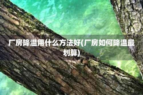 厂房降温用什么方法好(厂房如何降温最划算)