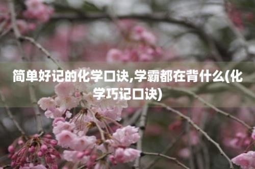 简单好记的化学口诀,学霸都在背什么(化学巧记口诀)