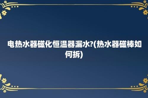 电热水器磁化恒温器漏水?(热水器磁棒如何拆)