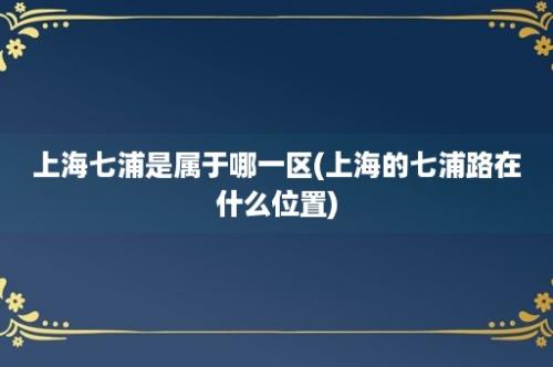 上海七浦是属于哪一区(上海的七浦路在什么位置)