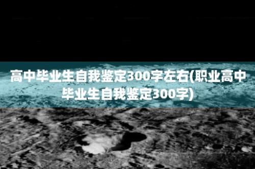 高中毕业生自我鉴定300字左右(职业高中毕业生自我鉴定300字)