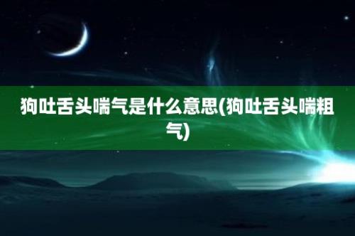 狗吐舌头喘气是什么意思(狗吐舌头喘粗气)