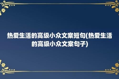 热爱生活的高级小众文案短句(热爱生活的高级小众文案句子)