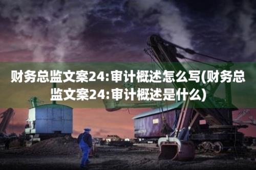 财务总监文案24:审计概述怎么写(财务总监文案24:审计概述是什么)