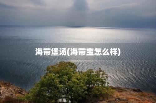 海带堡汤(海带宝怎么样)