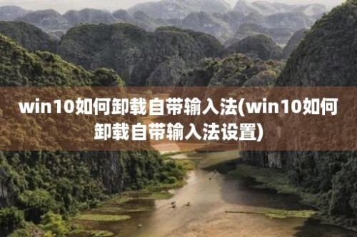 win10如何卸载自带输入法(win10如何卸载自带输入法设置)