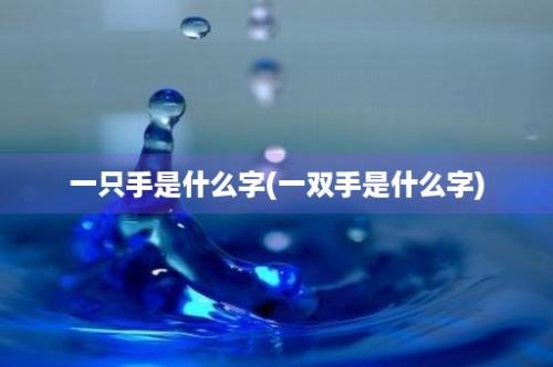 一只手是什么字(一双手是什么字)