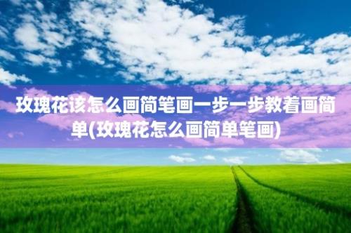 玫瑰花该怎么画简笔画一步一步教着画简单(玫瑰花怎么画简单笔画)