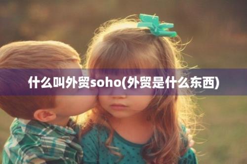 什么叫外贸soho(外贸是什么东西)