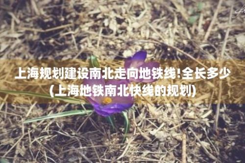 上海规划建设南北走向地铁线!全长多少(上海地铁南北快线的规划)