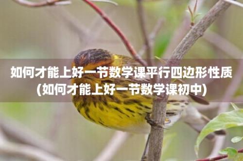 如何才能上好一节数学课平行四边形性质(如何才能上好一节数学课初中)