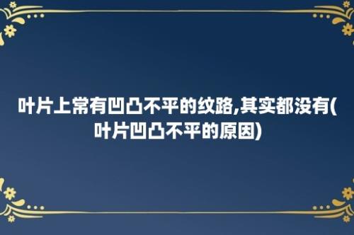 叶片上常有凹凸不平的纹路,其实都没有(叶片凹凸不平的原因)