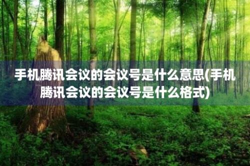 手机腾讯会议的会议号是什么意思(手机腾讯会议的会议号是什么格式)