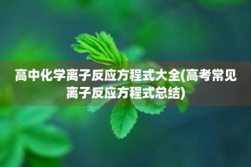 高中化学离子反应方程式大全(高考常见离子反应方程式总结)