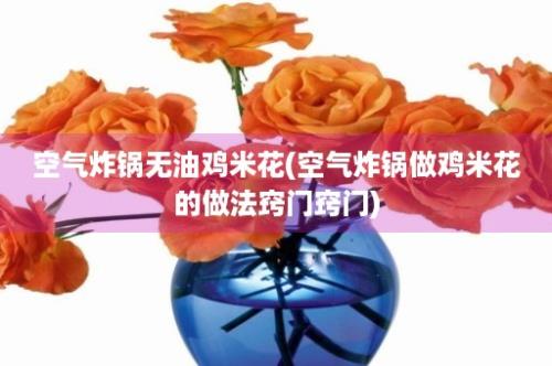 空气炸锅无油鸡米花(空气炸锅做鸡米花的做法窍门窍门)