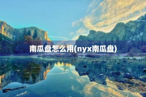 南瓜盘怎么用(nyx南瓜盘)