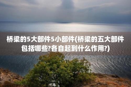 桥梁的5大部件5小部件(桥梁的五大部件包括哪些?各自起到什么作用?)