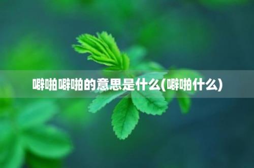 噼啪噼啪的意思是什么(噼啪什么)