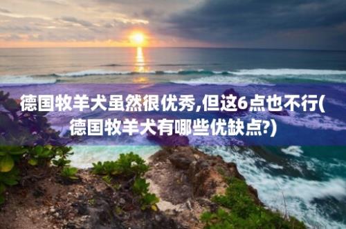 德国牧羊犬虽然很优秀,但这6点也不行(德国牧羊犬有哪些优缺点?)