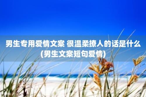 男生专用爱情文案 很温柔撩人的话是什么(男生文案短句爱情)