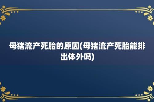 母猪流产死胎的原因(母猪流产死胎能排出体外吗)