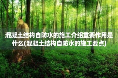 混凝土结构自防水的施工介绍重要作用是什么(混凝土结构自防水的施工要点)