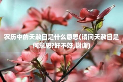 农历中的天赦日是什么意思(请问天赦日是何意思?好不好,谢谢)