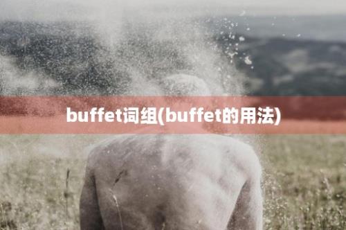 buffet词组(buffet的用法)