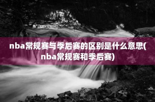 nba常规赛与季后赛的区别是什么意思(nba常规赛和季后赛)