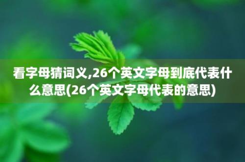 看字母猜词义,26个英文字母到底代表什么意思(26个英文字母代表的意思)