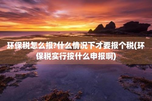 环保税怎么报?什么情况下才要报个税(环保税实行按什么申报啊)