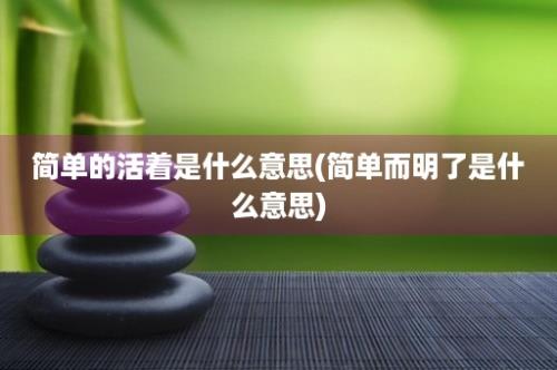 简单的活着是什么意思(简单而明了是什么意思)