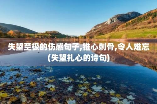 失望至极的伤感句子,锥心刺骨,令人难忘(失望扎心的诗句)