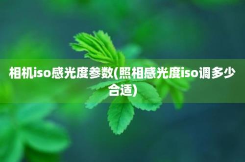 相机iso感光度参数(照相感光度iso调多少合适)