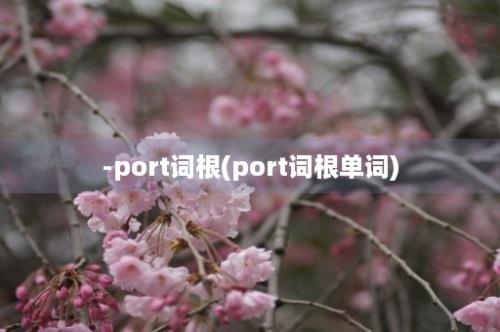 -port词根(port词根单词)