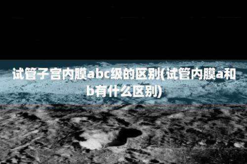 试管子宫内膜abc级的区别(试管内膜a和b有什么区别)