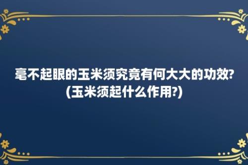 毫不起眼的玉米须究竟有何大大的功效?(玉米须起什么作用?)