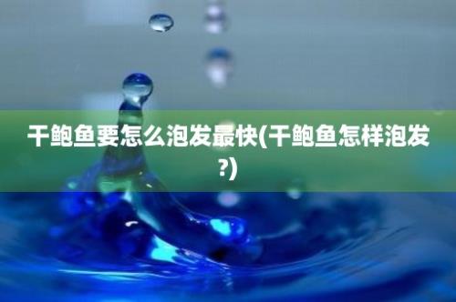 干鲍鱼要怎么泡发最快(干鲍鱼怎样泡发?)