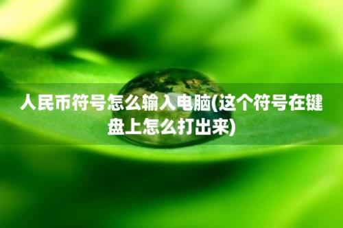 人民币符号怎么输入电脑(这个符号在键盘上怎么打出来)