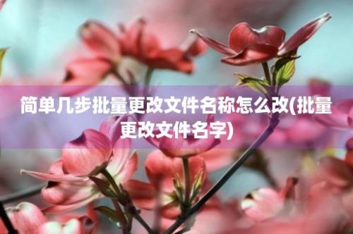 简单几步批量更改文件名称怎么改(批量更改文件名字)