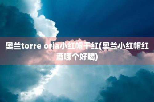 奥兰torre oria小红帽干红(奥兰小红帽红酒哪个好喝)