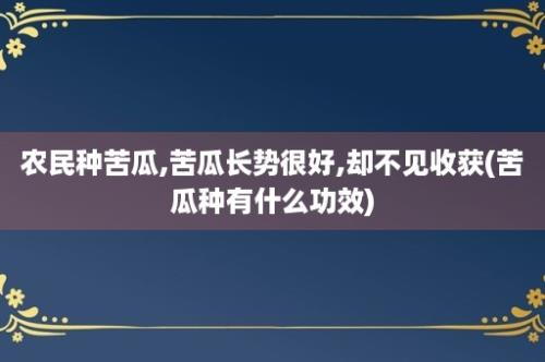 农民种苦瓜,苦瓜长势很好,却不见收获(苦瓜种有什么功效)