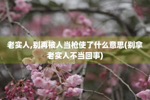 老实人,别再被人当枪使了什么意思(别拿老实人不当回事)